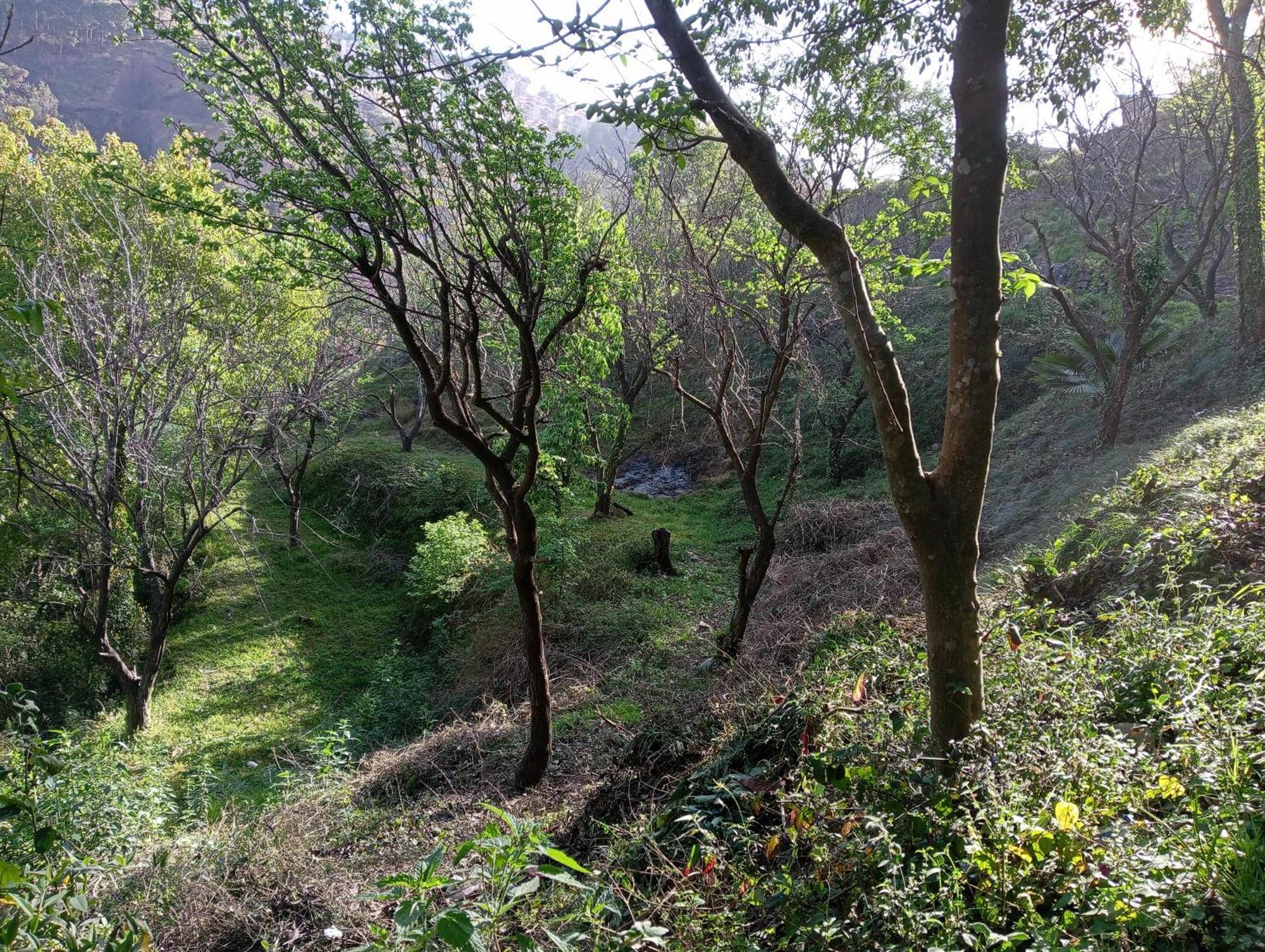 Mohija Homestay Kandāghāt Bagian luar foto